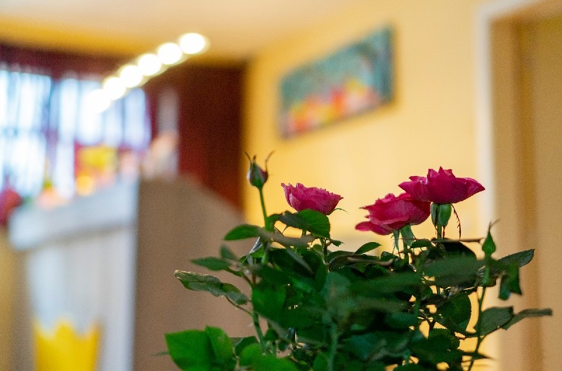 Belle Vie Massage — vue 16